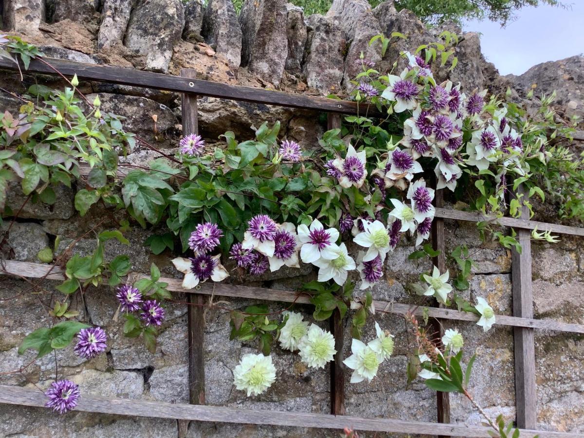 Orchard Cottage, Clematis Cottages, Stamford. Accessible Luxury Home. 외부 사진