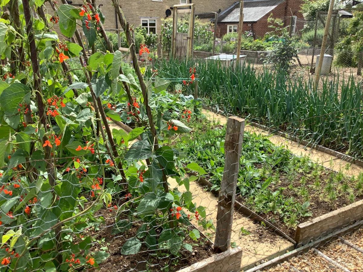 Orchard Cottage, Clematis Cottages, Stamford. Accessible Luxury Home. 외부 사진
