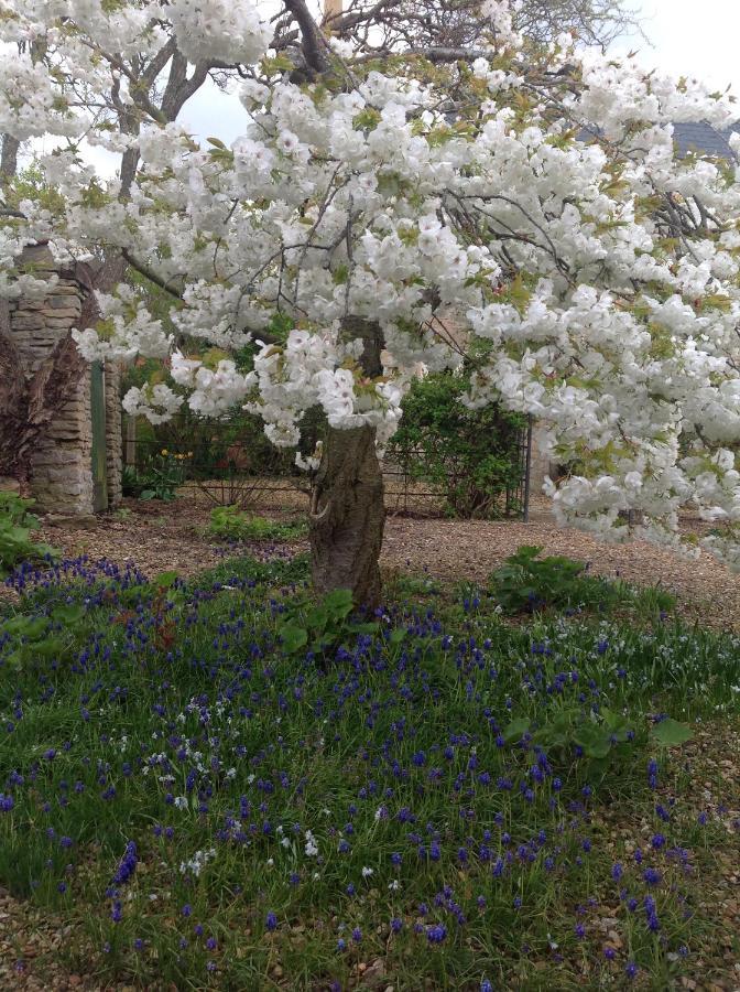 Orchard Cottage, Clematis Cottages, Stamford. Accessible Luxury Home. 외부 사진